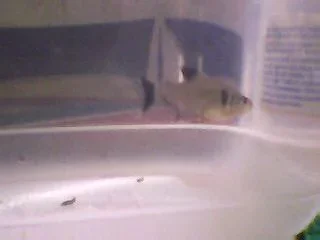 Picture_137.webp