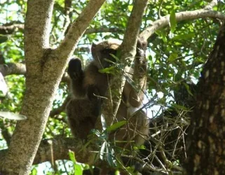 2004_SouthAfrica_umfolozi_146.webp