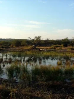 2004_SouthAfrica_umfolozi_266.webp