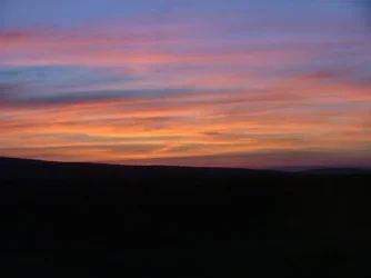 2004_SouthAfrica_umfolozi_238.webp
