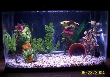 100_2819.jpg