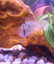 100_2825.jpg