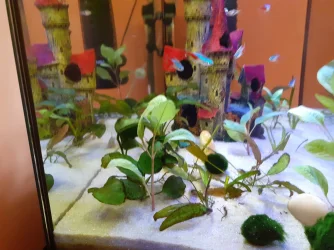 20210809_174503.webp