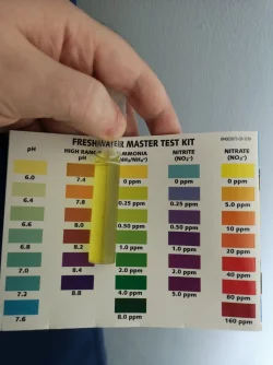 Ammonia Test results.webp Ammonia Test results.webp