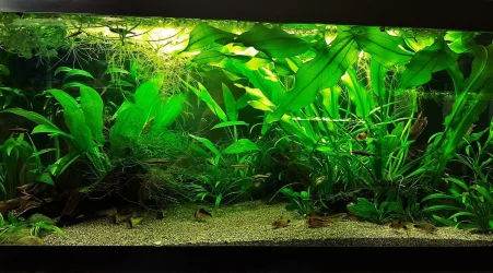 40g May 23 2020 (2).webp