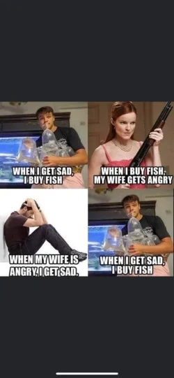 599C3671-8B7E-4AF1-B249-2140EA6E04B3.webp