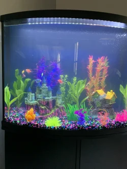 05D405A0-33F2-4115-999D-B3B40761172B.webp