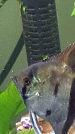 20210830_110000.webp