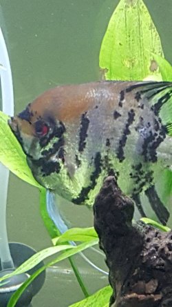 20210830_160455.jpg