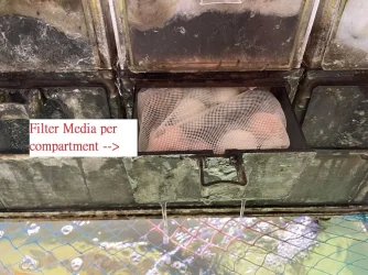 filter media.webp