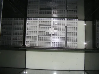 DSCF9164.webp