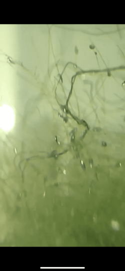 D571886A-D35F-4BB7-A45D-A2883B90D1AC.png