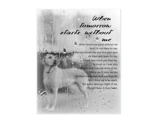 Poem.webp