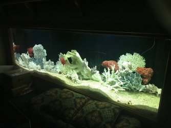 FISHTANK.jpg