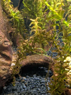 PXL_20210924_023138277.webp
