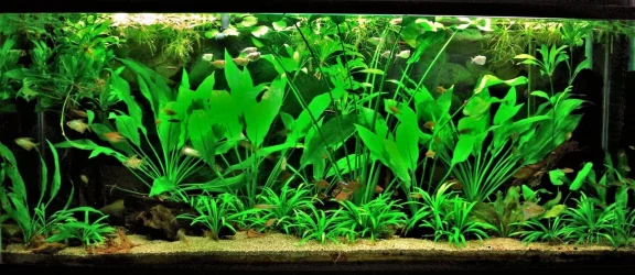 115g Feb 24-15.webp