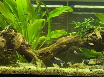 IMG_2019.jpg IMG_2019.jpg