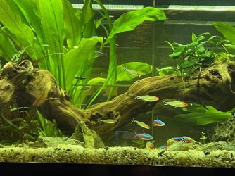 IMG_2018.jpg IMG_2018.jpg