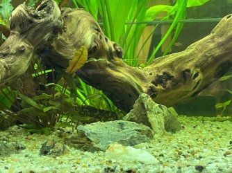 IMG_2017.jpg IMG_2017.jpg