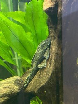 IMG_2014.jpg IMG_2014.jpg