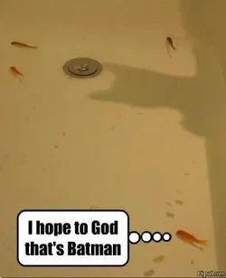 i_hope_to_god_thats_batman.webp