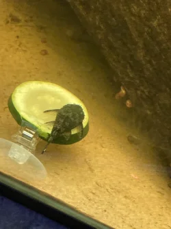 B1EAA927-2457-4A73-8EDF-2AF089629CEA.webp