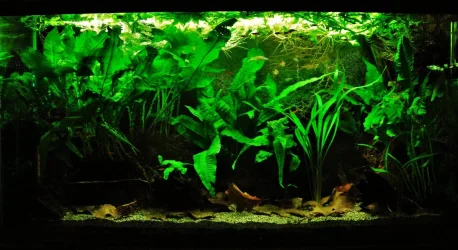 33g Feb 14-16.webp