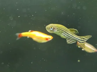 248200220_1207200933111733_6545208994206260048_n.webp