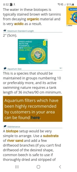 Screenshot_20211104-085207_Samsung Internet.webp