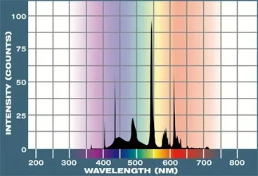 Life-Glo spectrum.webp