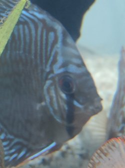 IMG20211113181946.jpg