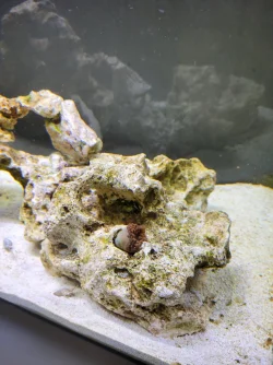 20211115_102259.webp