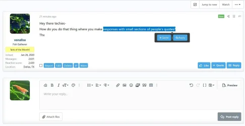 quoting.webp