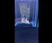 VideoCapture_20211110-101608.webp