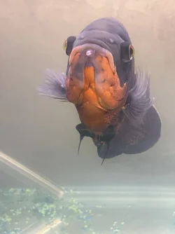 B328CB92-CF4E-4E79-9777-5186FB9932A5.webp