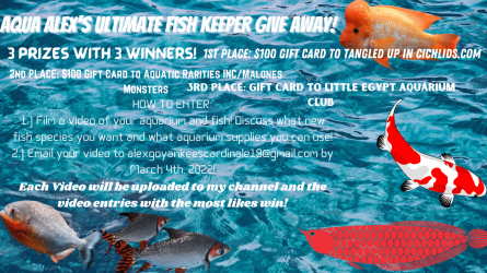 Aqua Alex's ULTIMATE Fish Keeper Give Away!.png