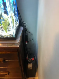 Fluval407.webp