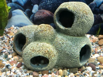Rocks.webp