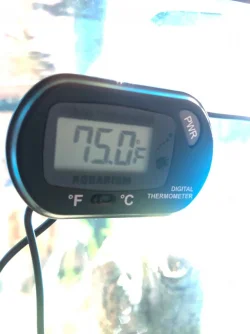 Temp.webp