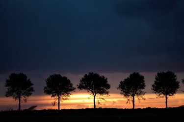 IMG_7796.jpg