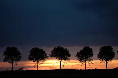 IMG_7796.webp