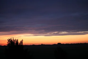 IMG_6043(1).webp