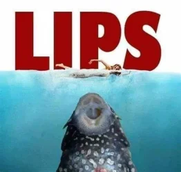 OIP.B1gxTfjlV86UBxkkM3YGrAHaHG.webp