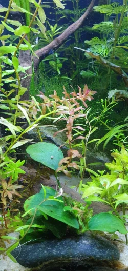 20211214_221117.webp