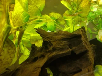 IMG_20211217_013916024_HDR.webp