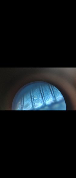 20211217_203839.jpg