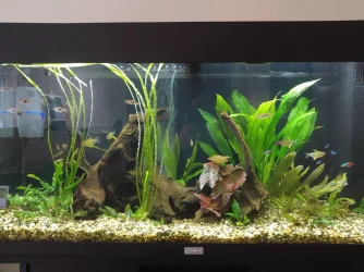 20211219_092654.webp