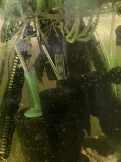 image_67210753.webp