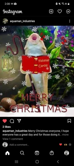 Screenshot_20211224-140829_Instagram.webp