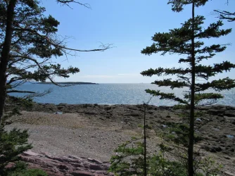 bay2.webp